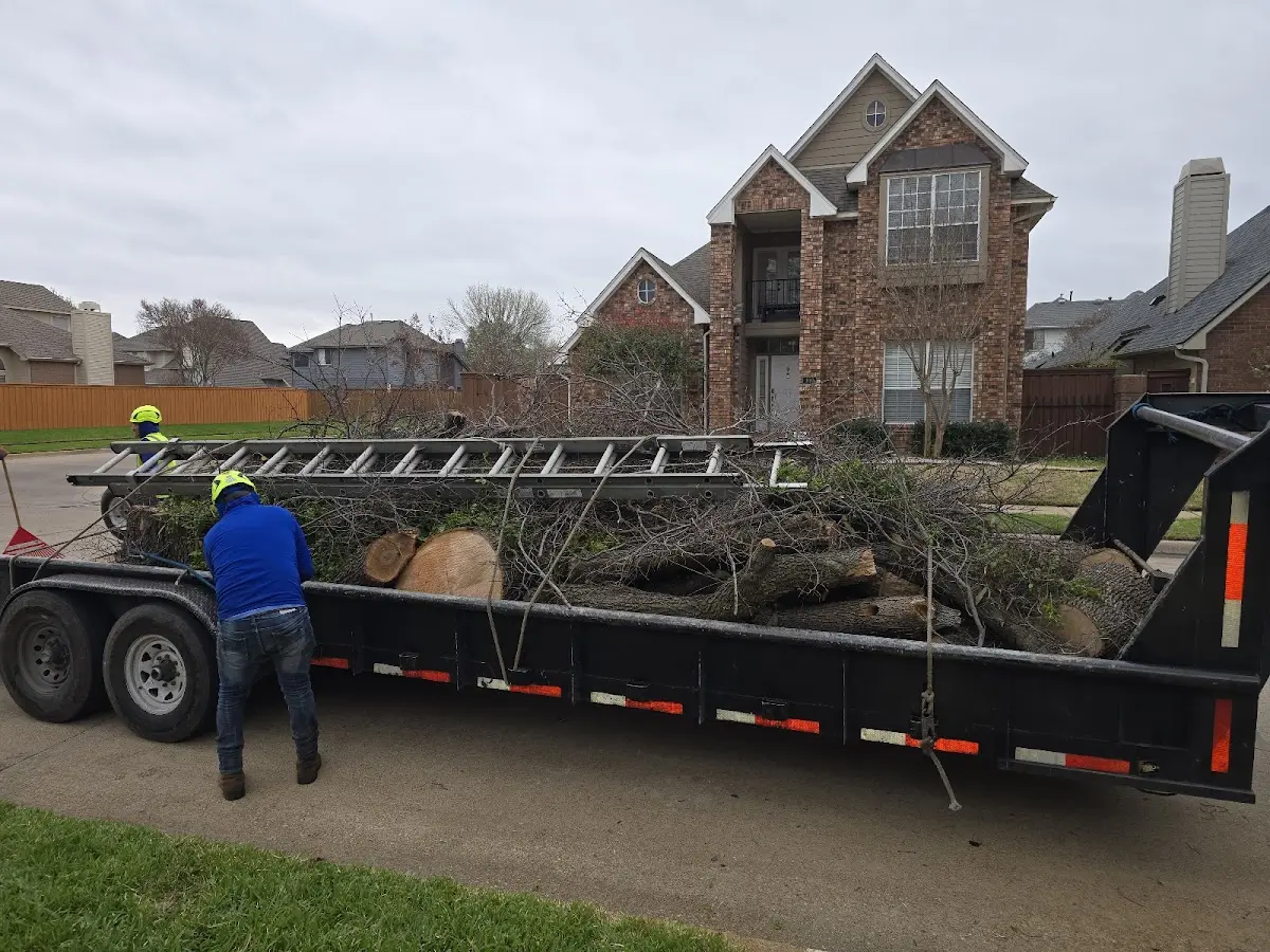 Expert Tree Fertilization with proper safety equipment in Forestport